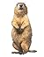 Prairie Dog Journal: Lined ...