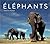 Elephants