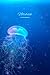 Jellyfish Composition Noteb...