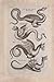 Dragon Journal for Your Tho...