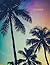 Notebook: Palm Trees Cover ...