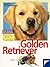 Golden Retriever.