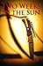 Two Weeks in the Sun: A cri...