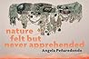 Nature Felt But Never Apprehended