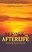 Before the Afterlife by Jonathan Morgenstern