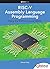 RISC-V Assembly Language Programming using ESP32-C3 and QEMU