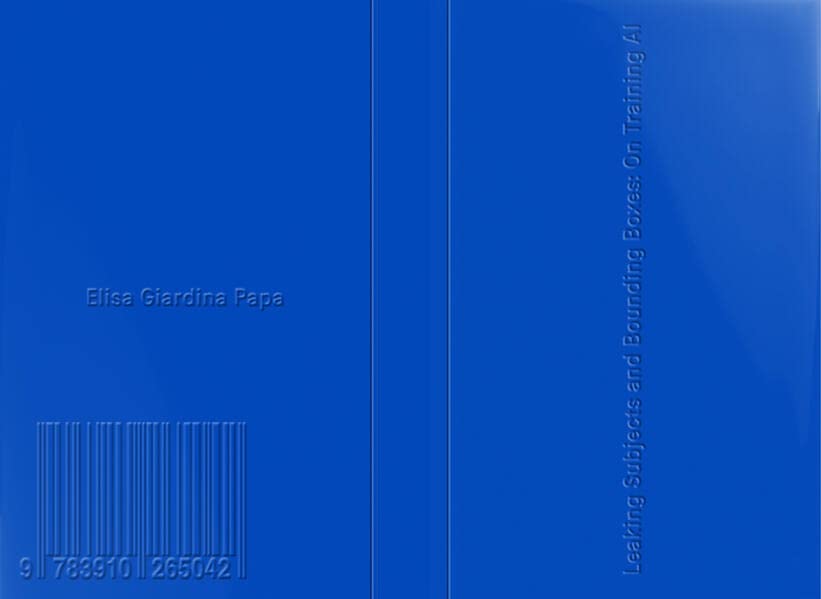 Leaking Subjects and Bounding Boxes: On Training AI (Paperback)