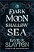 Dark Moon, Shallow Sea by David R. Slayton Dark Moon, Shallow Sea by David R. Slayton