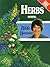Herbs with Hilde Hemmes by Hilde Hemmes