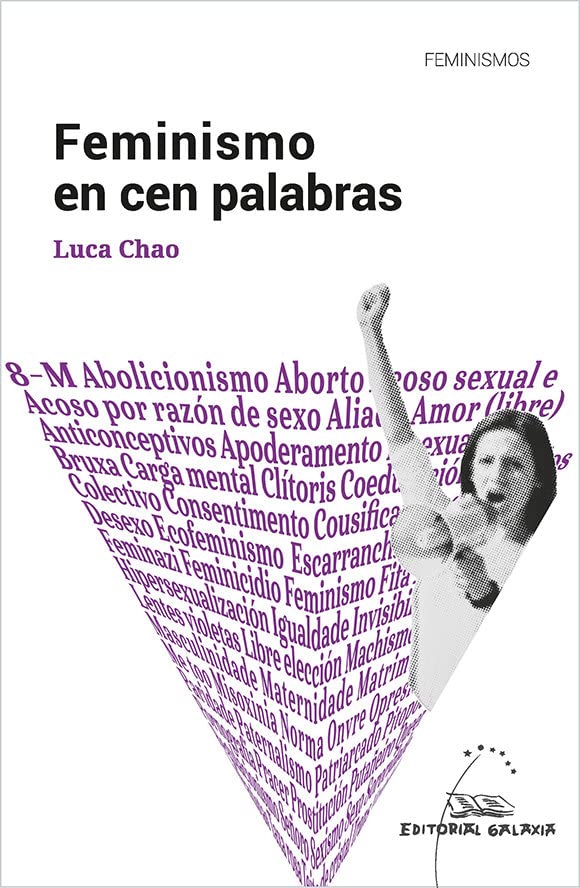 Feminismo en cen palabras (Paperback)