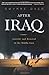 After Iraq: Anarchy and Renewal in the Middle East
