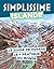 Islande Guide Simplissime
