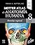 Netter. Atlas de anatomía h...