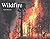 Wildfire