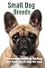 Small Dog Breeds: Expert He...