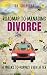 Roadmap to managing divorce by Dr. Suchitra Roadmap to managing divorce by Dr. Suchitra