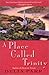 A Place Called Trinity: A Novel
