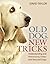 Old Dog, New Tricks: Understanding and Retraining Older and Rescued Dogs