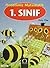 Hedefimiz Matematik: 1. Sınıf