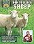 How to Raise Sheep