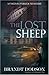 The Lost Sheep (Colton Parker Mystery Series, Book 4)