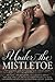 Under the Mistletoe: A Wild One Holiday Romance Collection