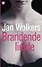 Brandende liefde
