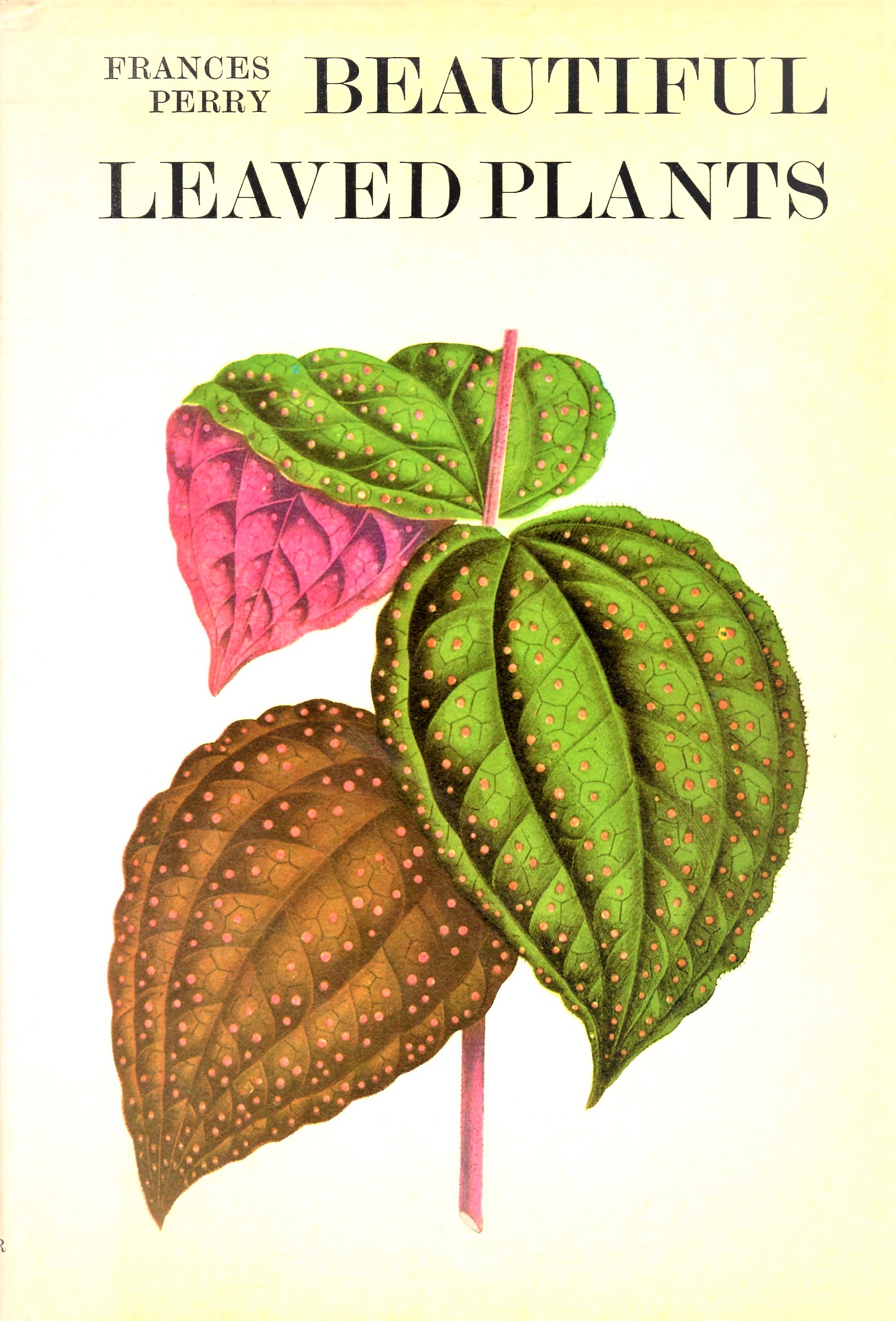 Beautiful leaved plants