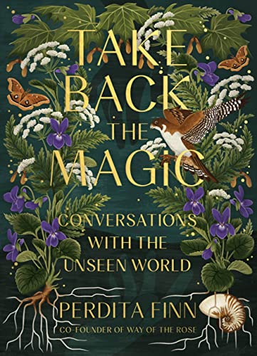 Take Back the Magic: Conversations with the Unseen World (Hardcover)