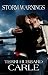 Storm Warnings by Terri Hubbard Carle Storm Warnings by Terri Hubbard Carle
