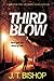 Third Blow (The Family or Foe Saga, #3)