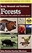 A Field Guide to Rocky Mountain and Southwest Forests (Peterson Field Guides)