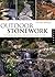 Outdoor Stonework: The Timeless, Practical, and Aesthetic Value of Stone