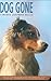 Dog Gone