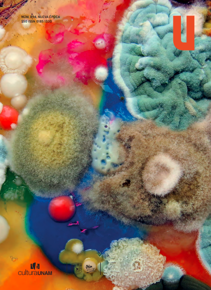 Hongos (Revista de la Universidad de México, #894)