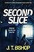 Second Slice (The Family or Foe Saga, #2)