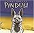 Pinduli (ASPCA Henry Bergh Children's Book Awards)