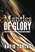 Mantles of Glory: The Perfecting of the Bride through Heavenly Raiment