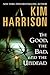 The Good, the Bad, and the Undead (The Hollows, Book 2)