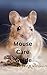 Mouse Care Guide