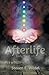 Afterlife by Steven E Wedel