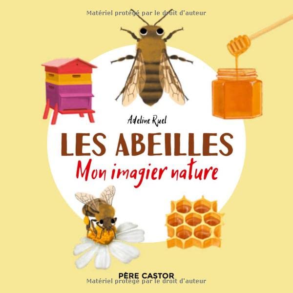 Les abeilles: Mon imagier nature (Paperback)