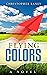 Flying Colors: A Soul-Stirring Adventure About Finding Your Wings
