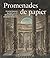 Promenades de papier - Dessins du XVIIIe siècle des collectio... by Pauline Chougnet