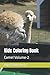 Kids Coloring Book: Camel V...