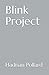 Blink Project