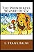 The Wonderful Wizard of OZ (illustrated edition)