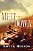 Meltdown (Task Force Valor Series #3)