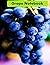 Grape Notebook