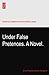 Under False Pretences. A Novel.